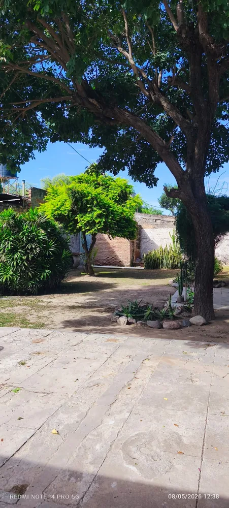 Patio exterior con piso de baldosas y árboles.